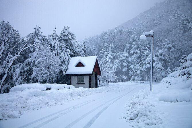 Private Tour in Gangwon with KBBQ and Guide/Driver Included - A Detailed Look at the Journey