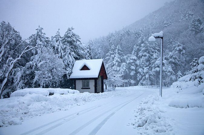 Private Tour in Gangwon with KBBQ and Guide/Driver Included - Why This Tour Offers Real Value