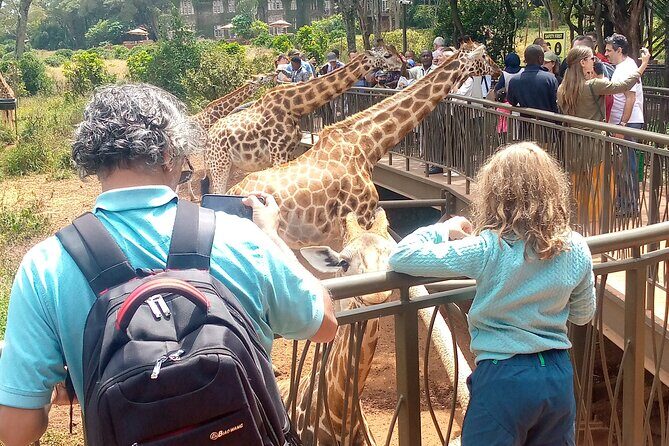 Private Tour in Giraffe Centre and Bomas of Kenya - Who should consider this tour?  
