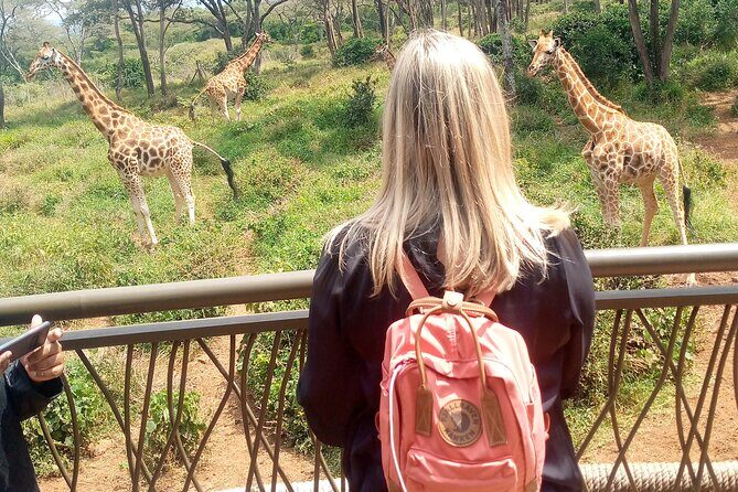 Private Tour in Giraffe Centre and Bomas of Kenya - What Sets This Tour Apart