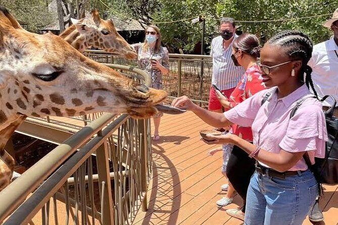 Private Tour in Giraffe Centre and Bomas of Kenya - Potential Drawbacks or Considerations
