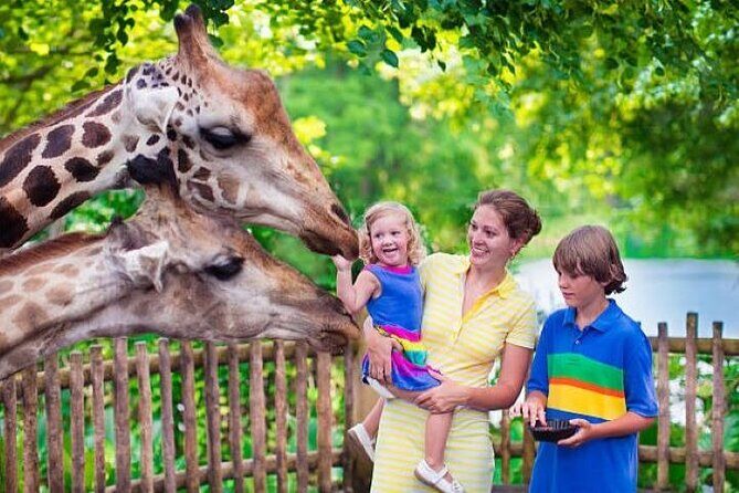 Private Tour in Giraffe Centre and Bomas of Kenya - FAQs