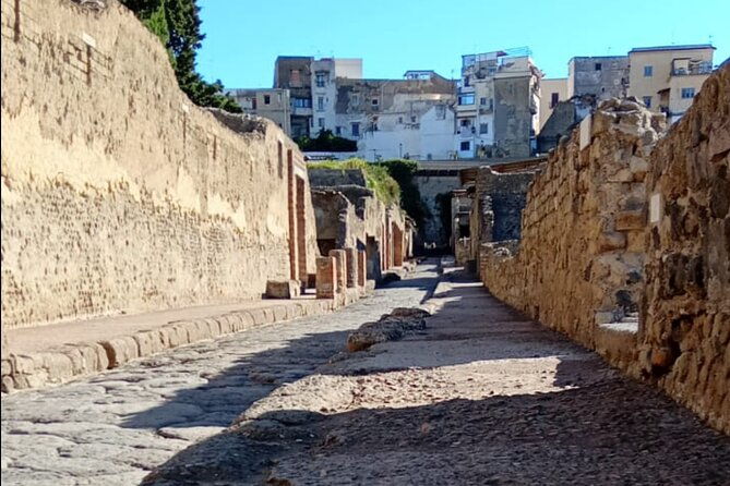 private-tour-in-herculaneum-with-an-authorized-guide