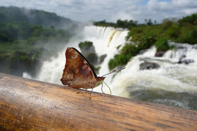 private-tour-in-iguazu-falls-and-argentine-side
