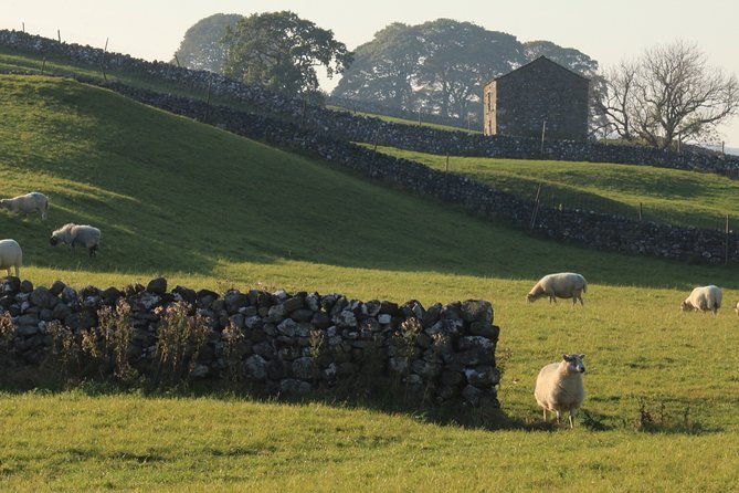 private-tour-in-lake-district-from-york-in-a-16-seater-mercedes
