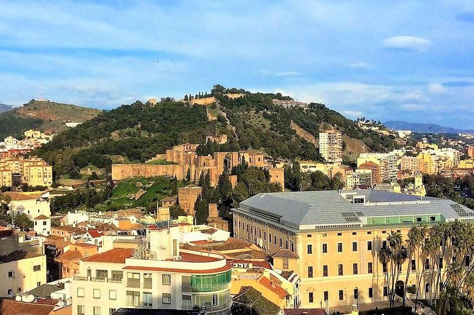 private-tour-in-malaga-from-costa-del-sol