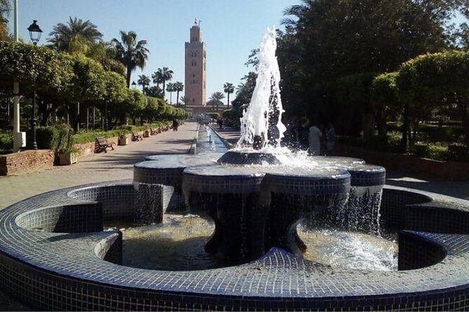 Private Tour in Marrakech By Tuk Tuk - The Review Insights: Real Traveler Experiences