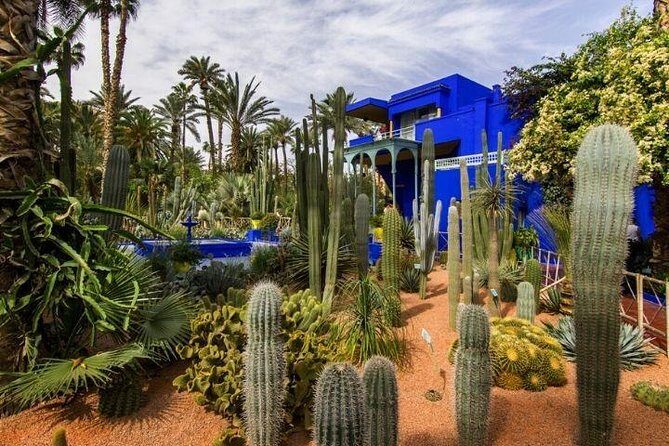 Private Tour in Marrakech By Tuk Tuk - FAQ