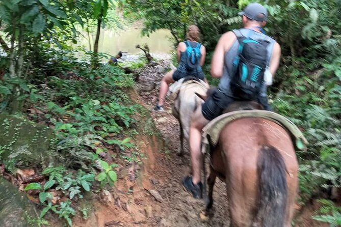 private-tour-in-miches-with-la-jarda-waterfall-experience