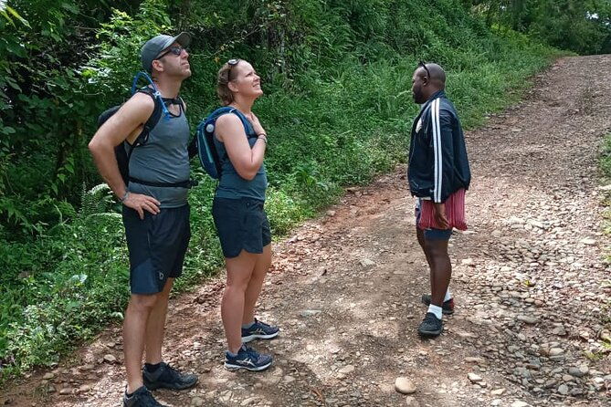 private-tour-in-miches-with-la-jarda-waterfall-experience