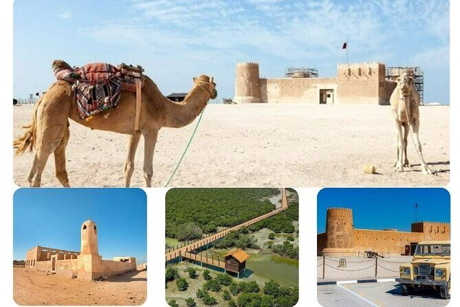Private Tour in Northern Qatar - Exploring Northern Qatar: An Authentic, Scenic Day Out