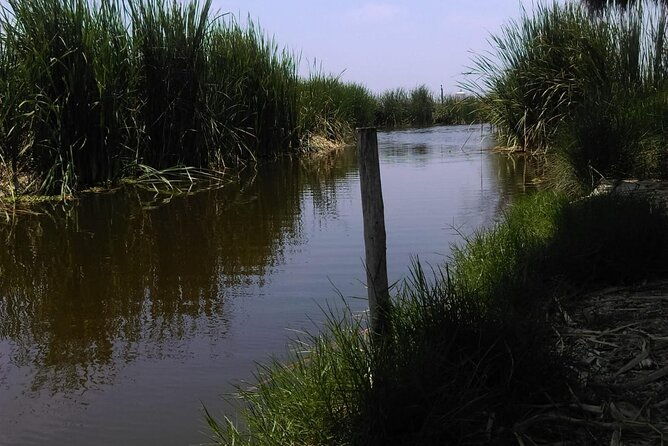 private-tour-in-pachacamac-temple-and-pantanos-de-villa-reserve