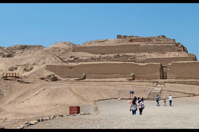 private-tour-in-pachacamac-temple-and-pantanos-de-villa-reserve