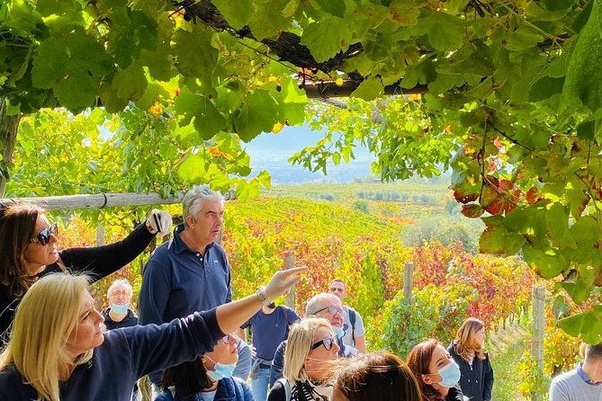 private-tour-in-pompeii-ruins-and-pompeii-city-center-winery