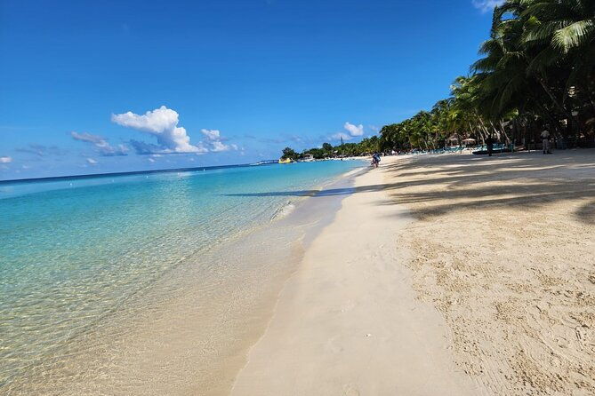 private-tour-in-roatan-with-a-professional-guide