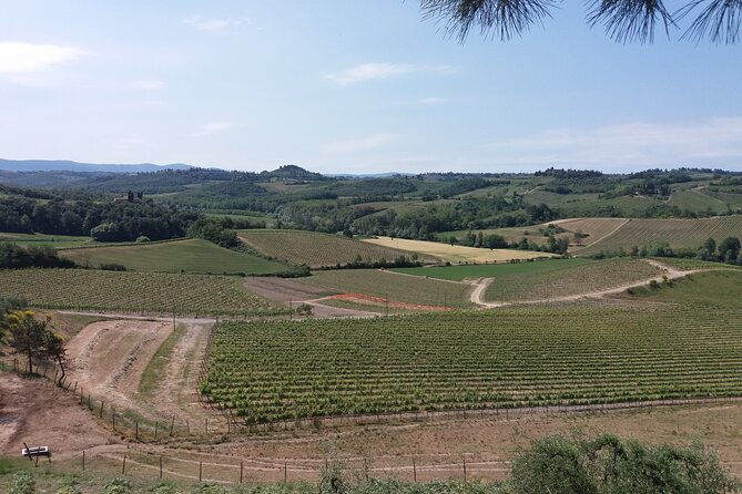 private-tour-in-san-gimignano-and-chianti-day-trip-from-florence