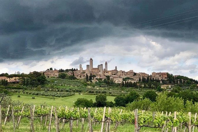 private-tour-in-siena-san-gimignano-and-chianti-day-trip-from-florence