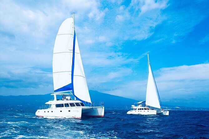 Private Tour in South Jeju including Yacht Cruise - A Deep Dive into the Jeju Private Tour Experience