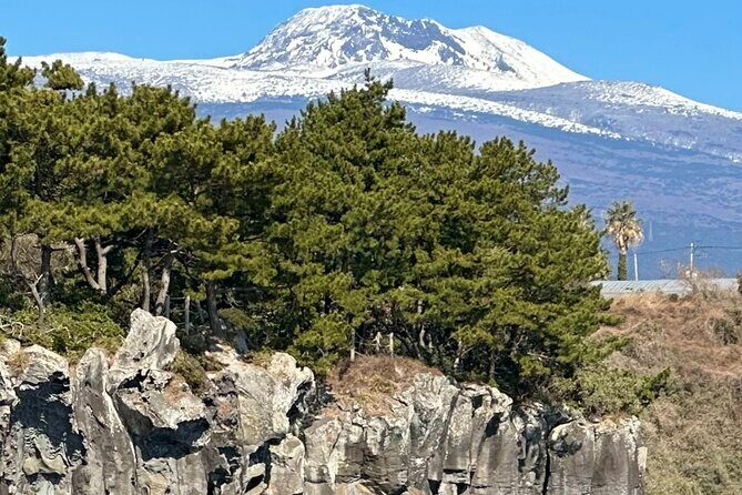 Private Tour in South Jeju including Yacht Cruise - Who Would Love This Tour?