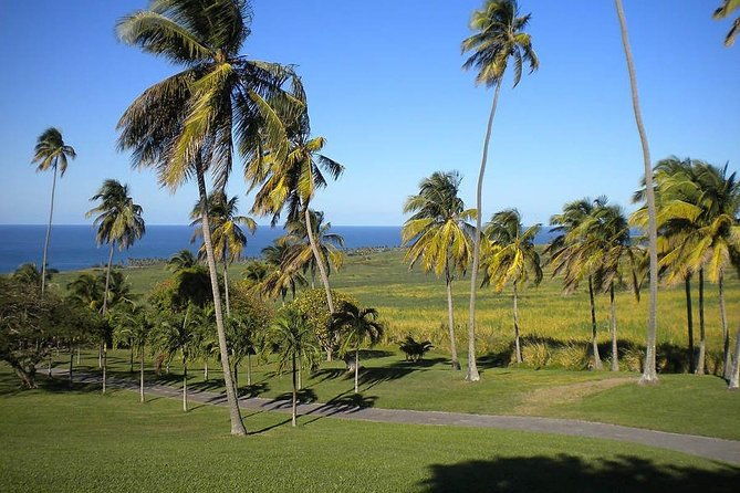 private-tour-in-st-kitts