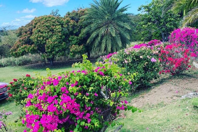 private-tour-in-st-kitts