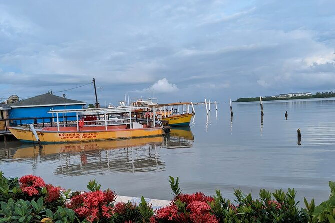 private-tour-in-the-glistening-waters-from-montego-bay