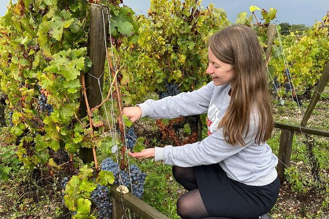 private-tour-in-the-prestigious-medoc-wine-region-2