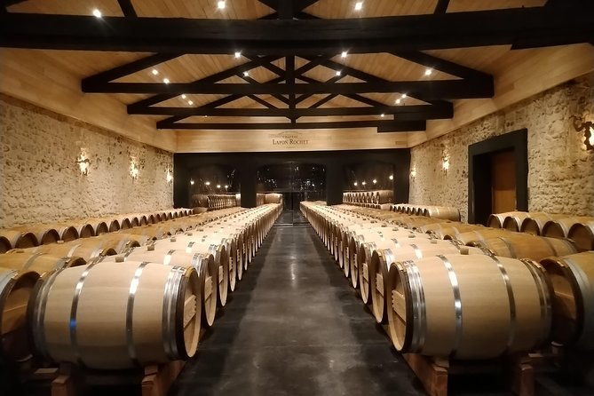 private-tour-in-the-prestigious-medoc-wine-region-2