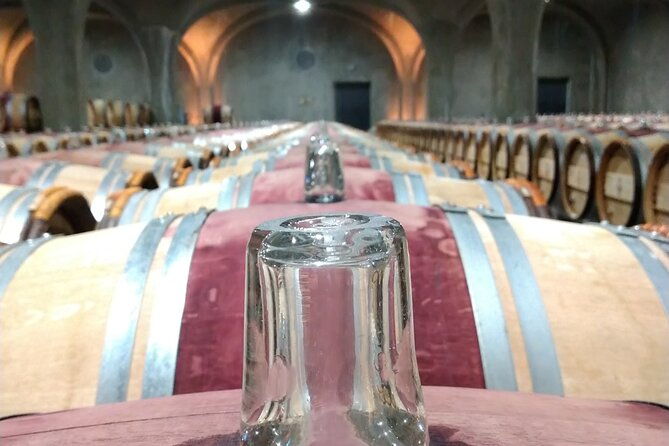 private-tour-in-the-prestigious-medoc-wine-region
