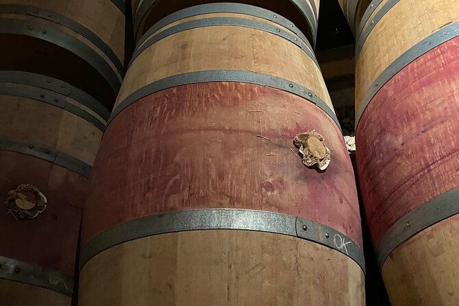 private-tour-in-the-prestigious-medoc-wine-region