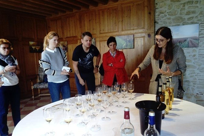 private-tour-in-the-sauternes-wine-region-discover-bordeaux-sweet-crus-classes