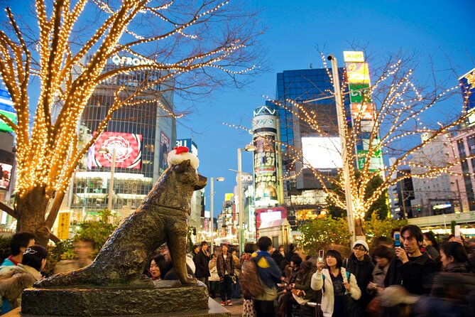 private-tour-in-tokyo-5-cities-and-10-points-day-or-night