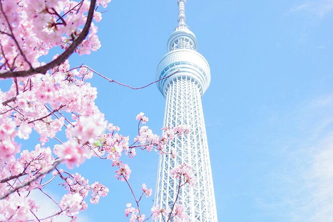 private-tour-in-tokyo-with-english-speaking-driver