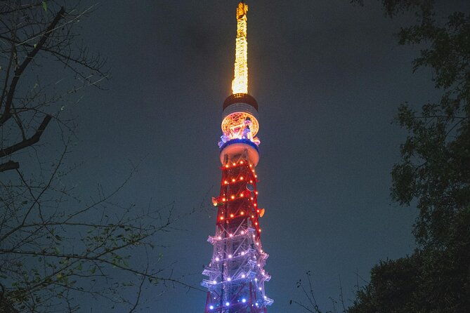 private-tour-in-tokyo-with-english-speaking-driver