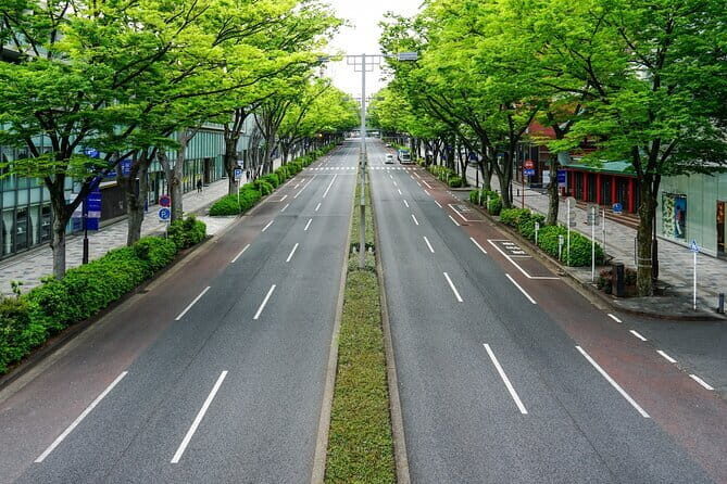 Private Tour in Tokyo with Shopping - Who Will Enjoy This Experience Most?