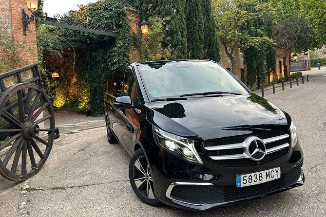 private-tour-in-toledo-5-hours-with-private-guide-and-driver-4