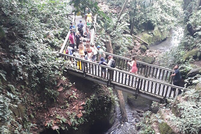Private tour in Ubud country side - Waterfalls and Natural Beauty