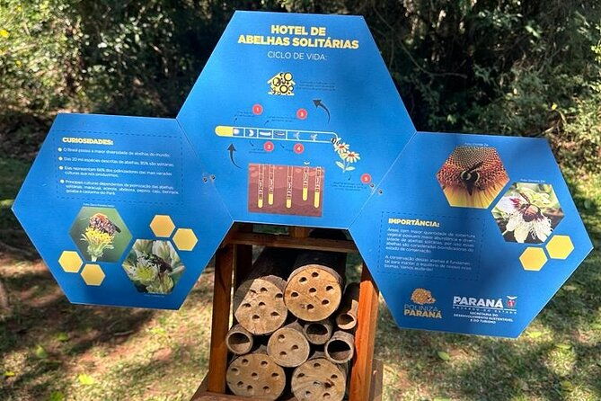 private-tour-in-vila-velha-state-park