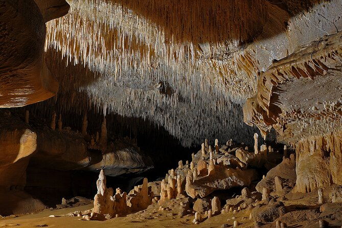 private-tour-into-an-original-prehistoric-cave-by-exploreo-sarlat