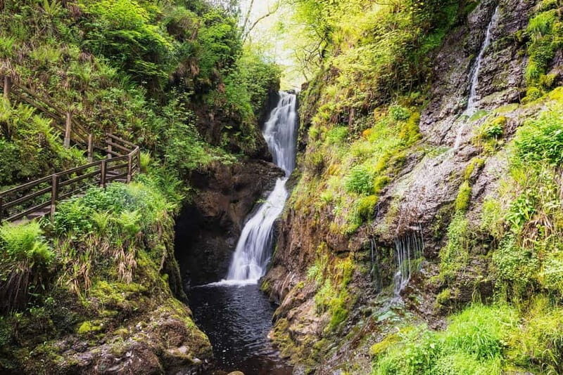 Private Tour - Irish Walled Garden, Nature & Giants Causeway - Who Will Love This Tour?  