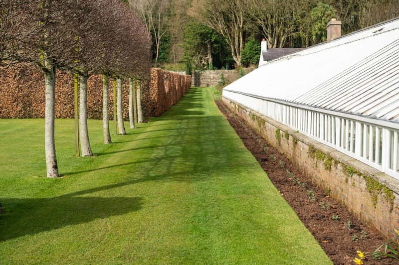 Private Tour - Irish Walled Garden, Nature & Giants Causeway - Final Thoughts  