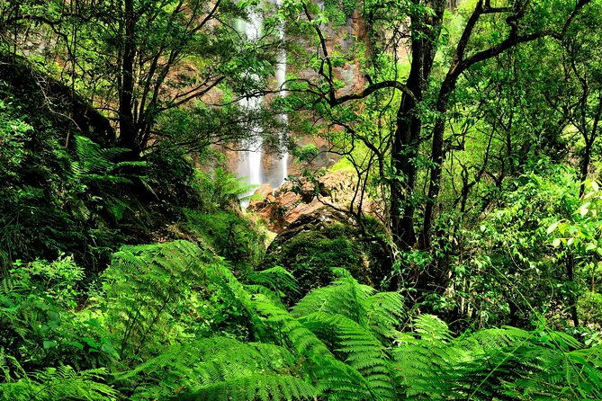 private-tour-juan-curi-waterfalls-nature