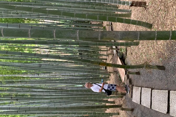 private-tour-kamakura-and-enoshima-with-guide-and-photographer