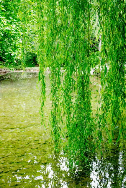 private-tour-krka-waterfalls-and-wine-tasting
