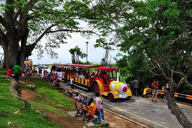 Private Tour Kuala Selangor Fireflies include Seafood Dinner *26* - Final Thoughts