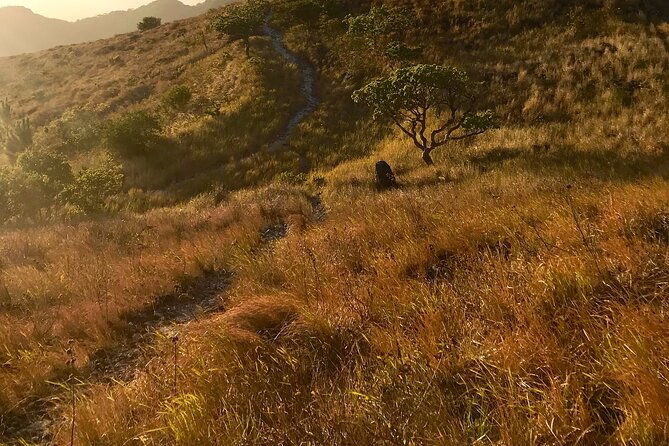 private-tour-la-india-dormida-trail