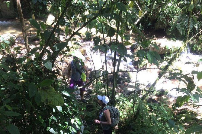 private-tour-la-miel-magnificent-natural-reserve-hike
