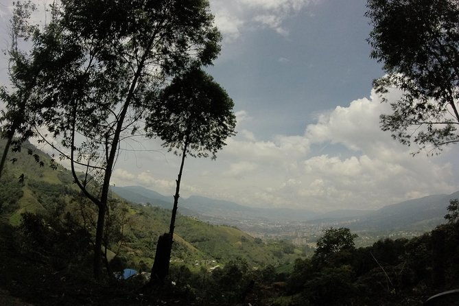 private-tour-la-miel-magnificent-natural-reserve-hike