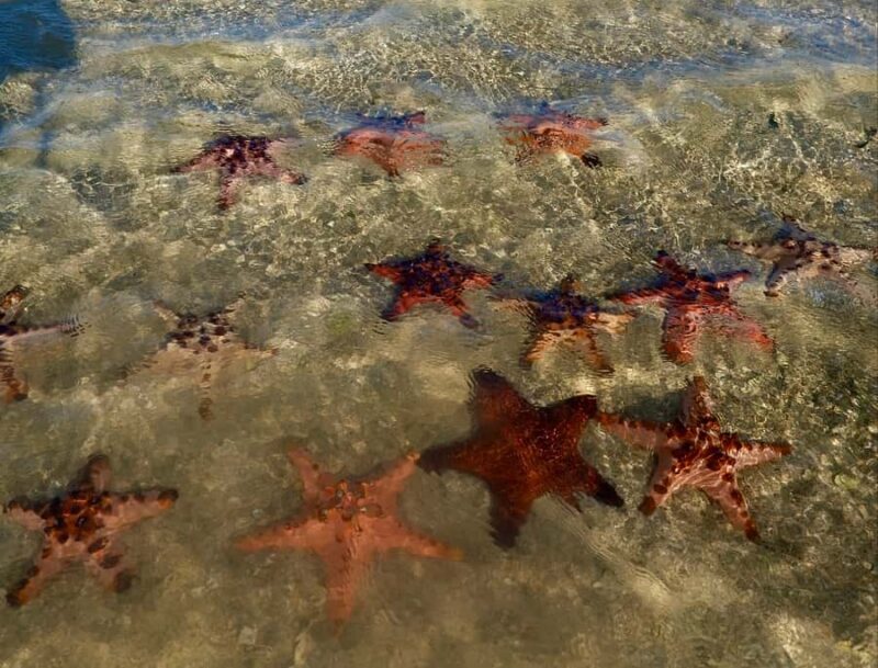 Private Tour Lombok Pink Beach and Snorkeling - Final Thoughts