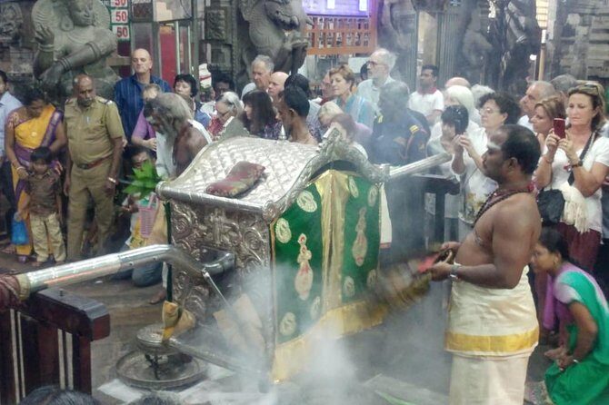 Private Tour: Madurai Meenakshi Amman Temple Night Ceremony - A Close Look at the Experience